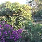 Presqu'ile De Giens * Йер