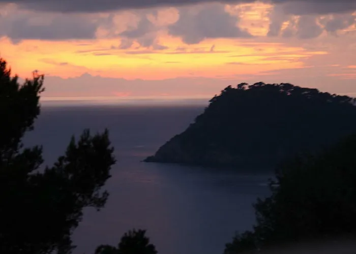 Lejlighed Presqu'ile De Giens