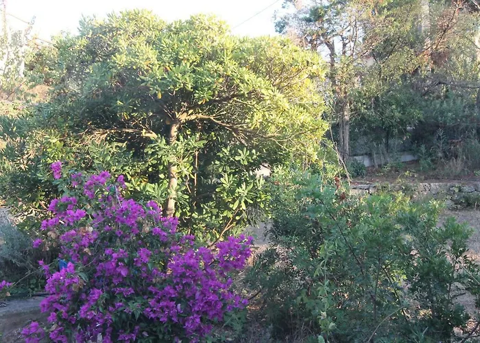 Presqu'ile De Giens * Hyères